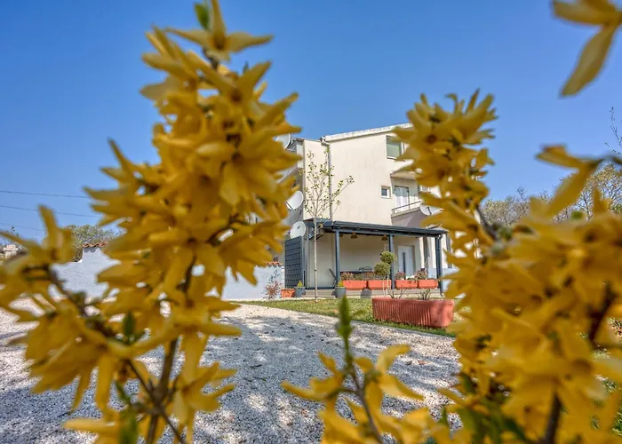 Petricija With Garden Appartamento Porec